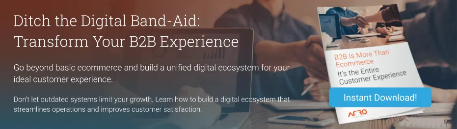 Instant Download | Whitepaper | B2B is More Than Ecommerce — It's the Entire Customer Experience